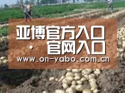 种植基地七(图1)