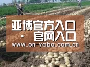 种植基地八