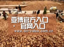 种植基地二