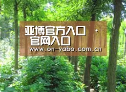 种植基地九