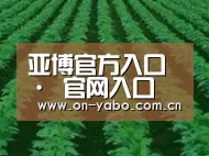 种植基地六(图1)