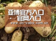 产品展示标题2