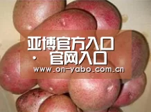 产品展示标题1