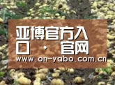 种植基地七