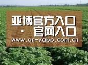 种植基地五