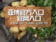 产品展示标题4