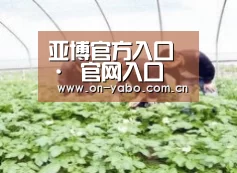 种植基地三