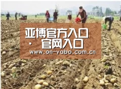 种植基地一