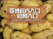 产品展示标题6