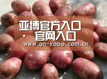 产品展示标题5