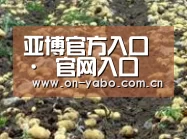 种植基地八(图1)