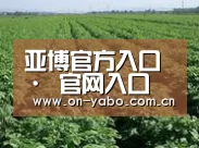 种植基地五(图1)