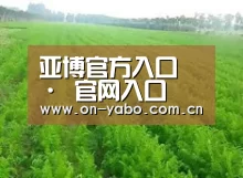种植基地四