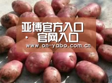 产品展示标题5(图1)