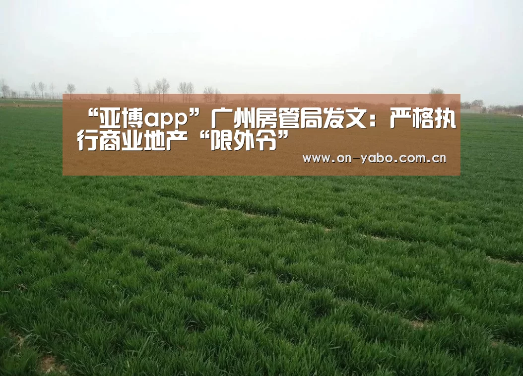 亚博app