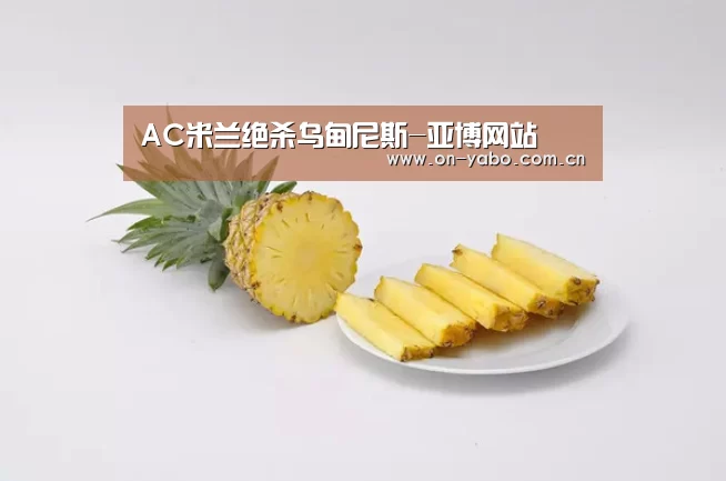 AC米兰绝杀乌甸尼斯-亚博网站(图1) 亚博平台