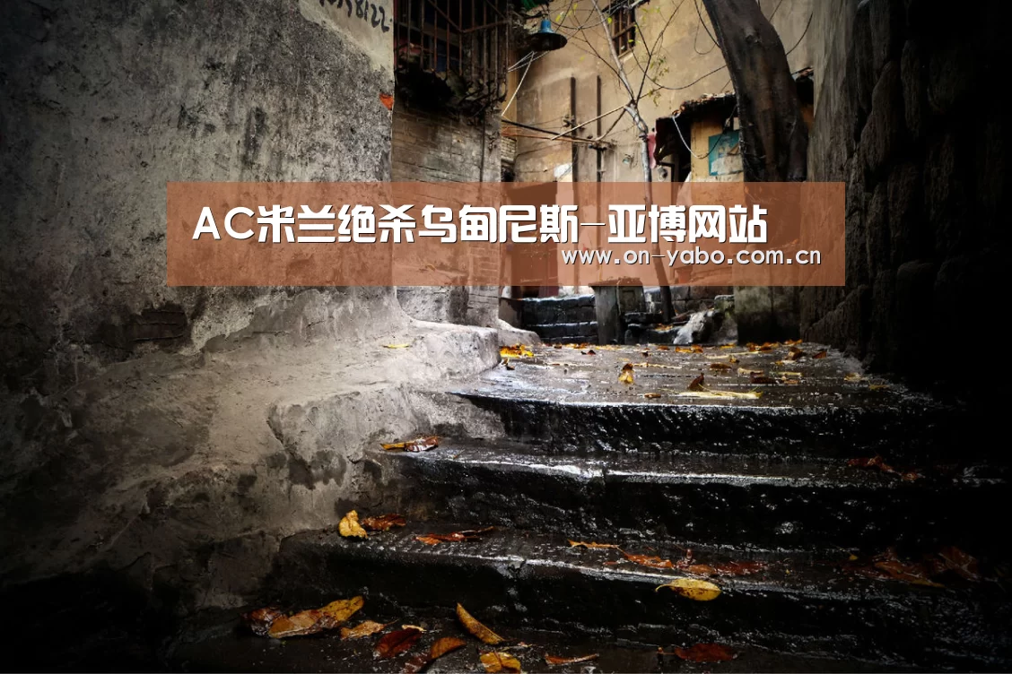 AC米兰绝杀乌甸尼斯-亚博网站(图4) 亚博网站