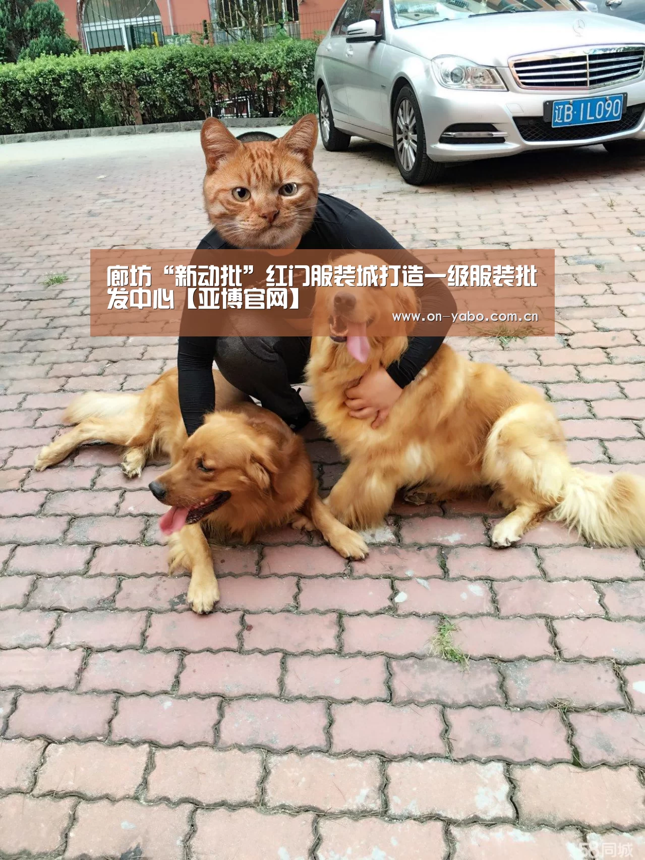 廊坊“新动批”红门服装城打造一级服装批发中心【亚博官网】(图4) 亚博官网